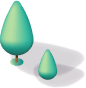 shape